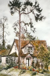 Cottage with Fir Tree